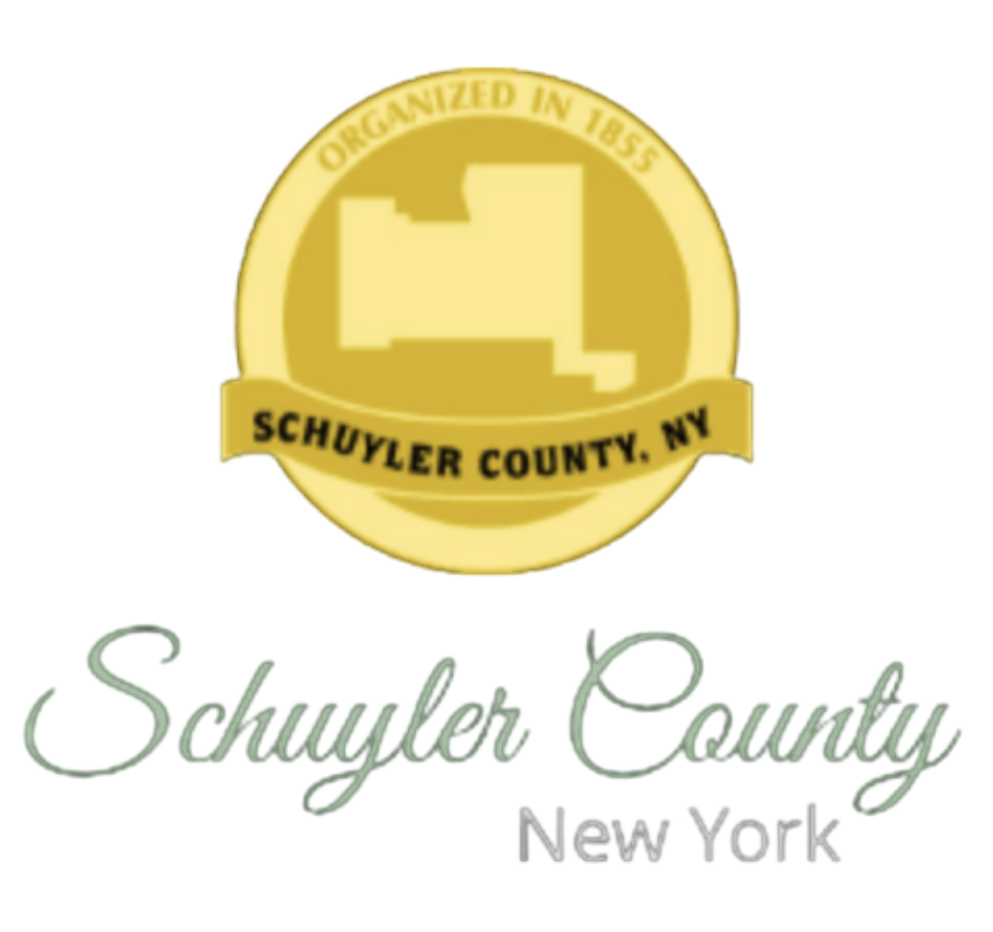 Client logo 31
